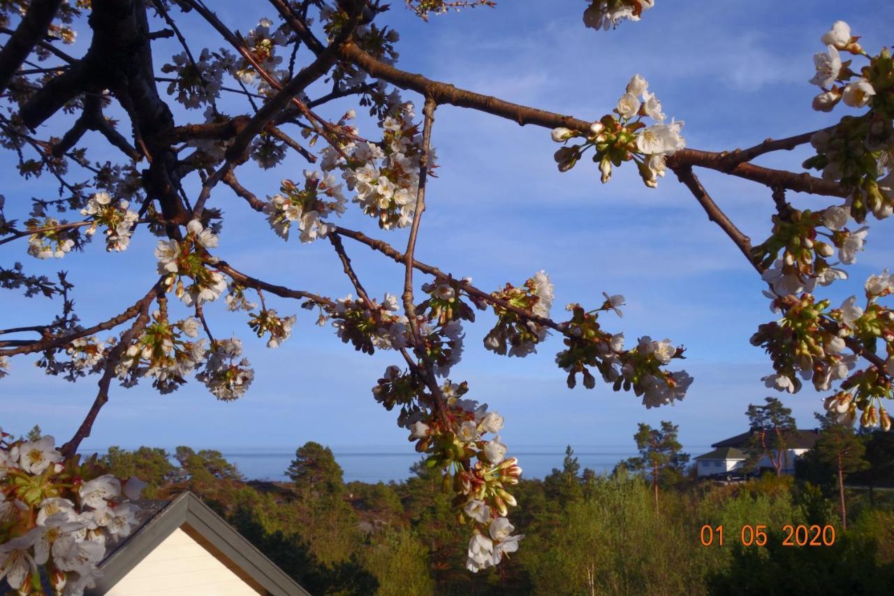 Risor Bed & Breakfast, Randvik Strand 外观 照片